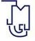 Logo TMG Technologie Management Gruppe Unternehmensberatung f�r Markt und Innovation GmbH