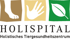 Holispital GmbH