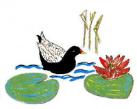 Logo Rudower Wassergarten