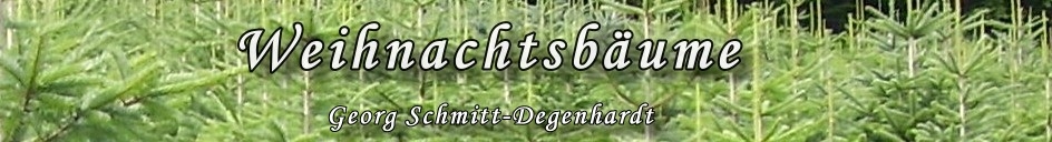 Weihnachtsbäume