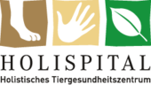 Logo Holispital GmbH